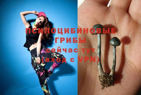 дурь Баксан