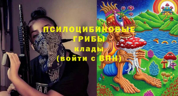 прущие грибы Бронницы