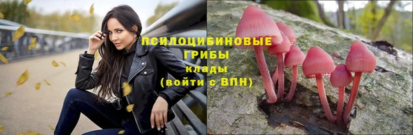 дурь Баксан